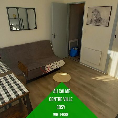 Apartamento Petit Cocon Tarbais -Wifi-Parking Tarbes Exterior foto